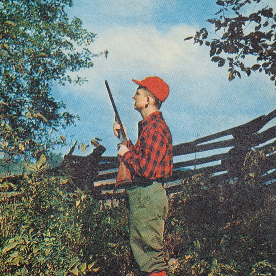 Military & Hunting