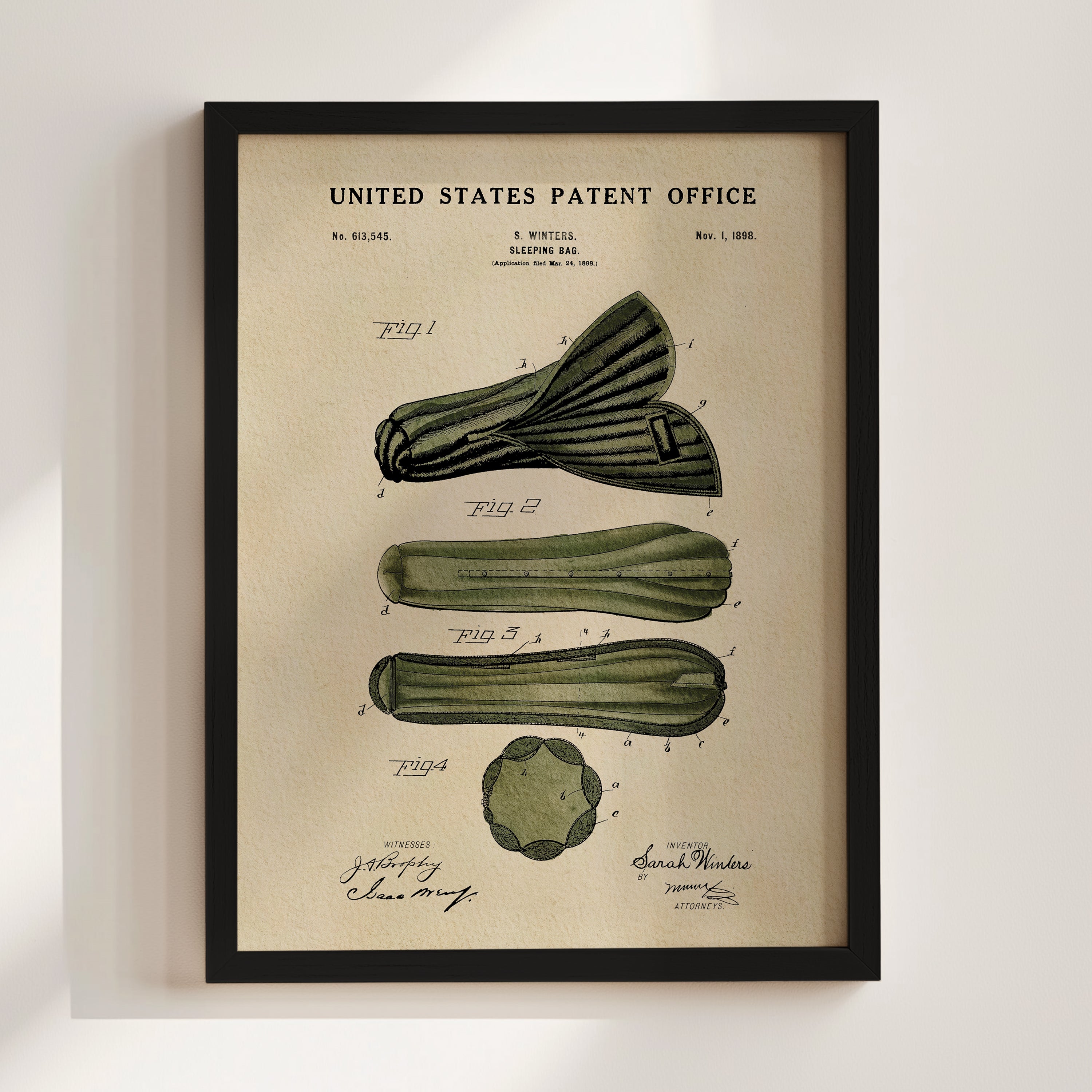 The image is a framed patent drawing depicting a cucumber with various labels and annotations.