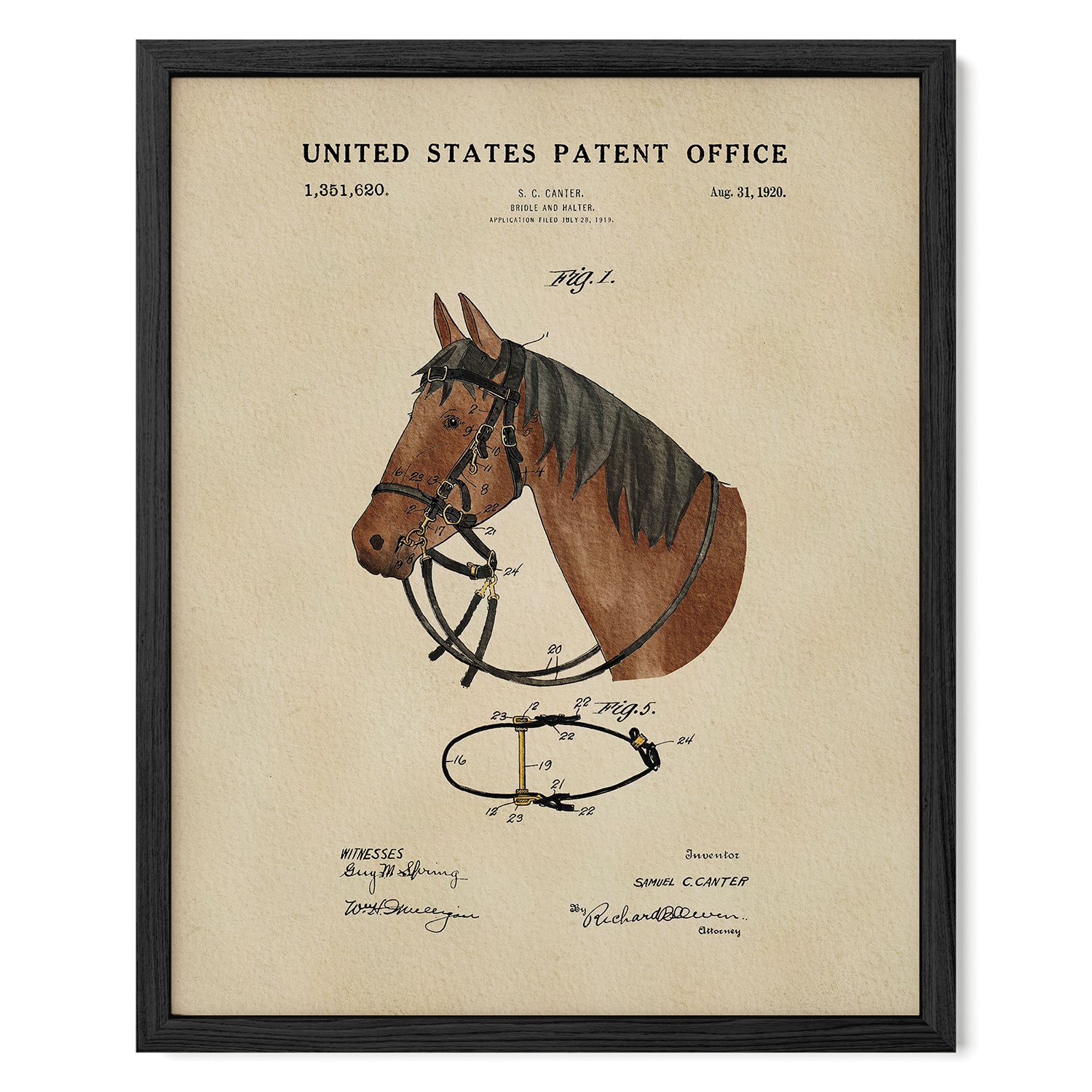 The image is a framed patent drawing of a horse's head with a bridle, depicting the design of the bridle and its components.