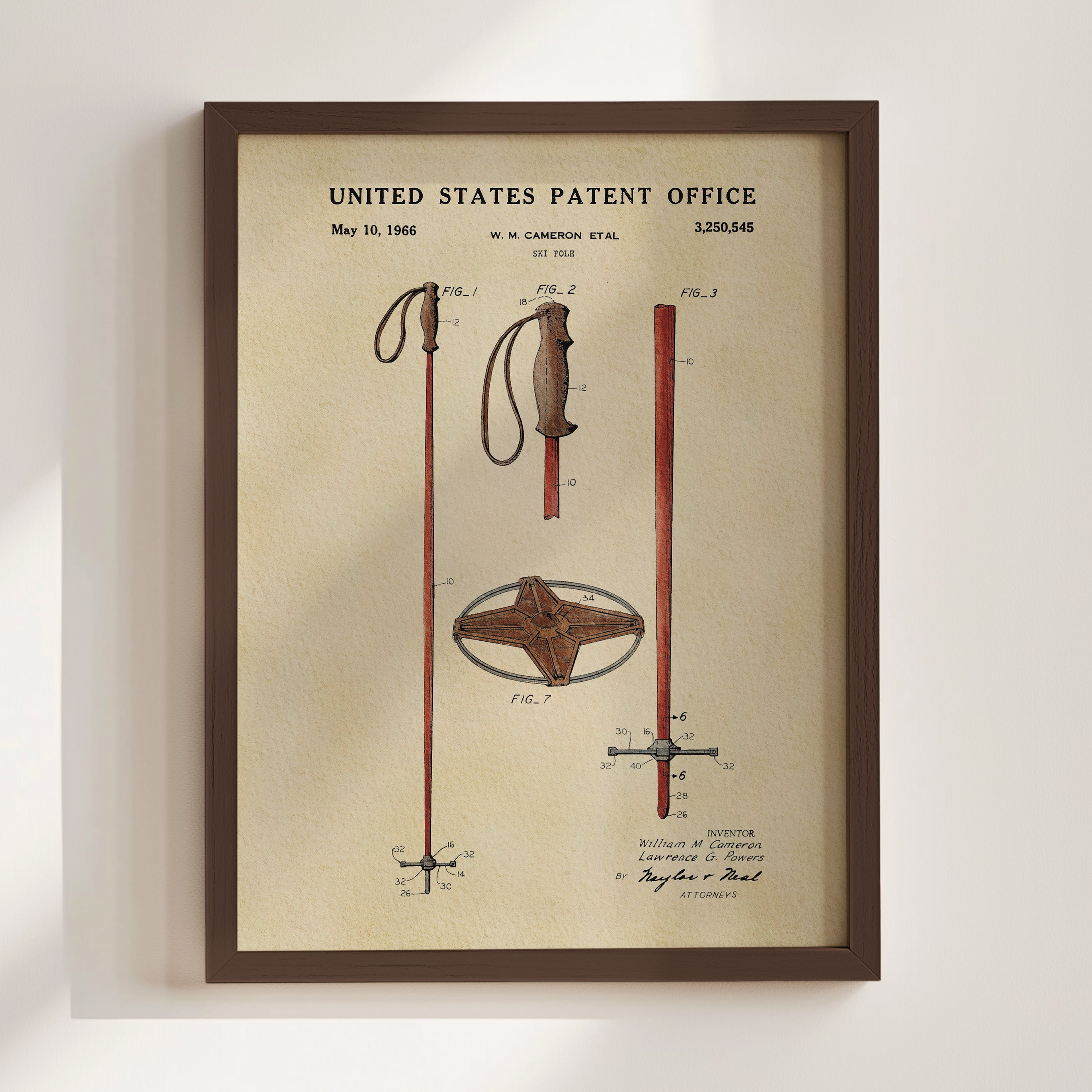 The image is a framed patent drawing depicting a pair of ski poles with a cross-shaped attachment.