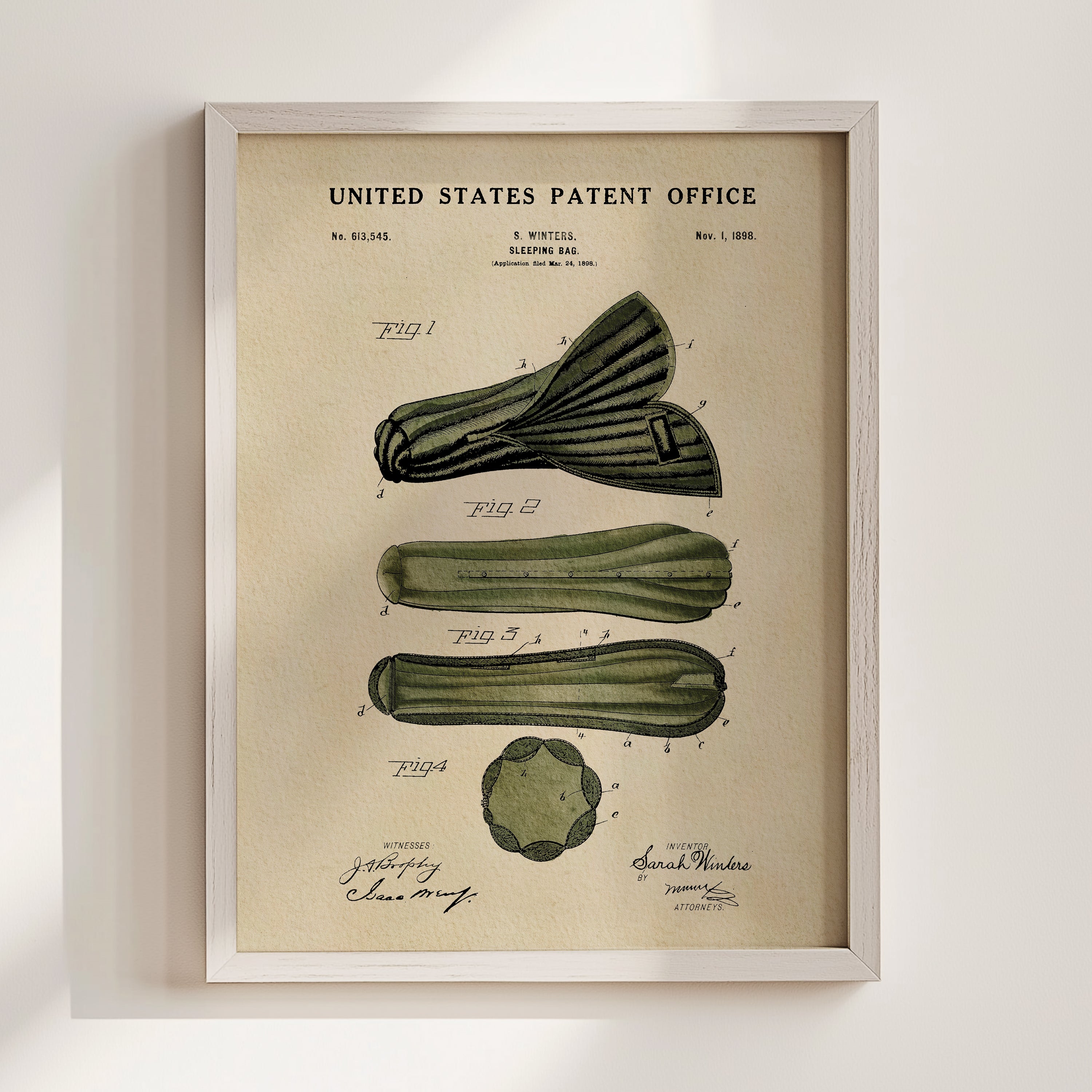 The image is a framed vintage patent drawing depicting a zucchini with accompanying drawings and text.