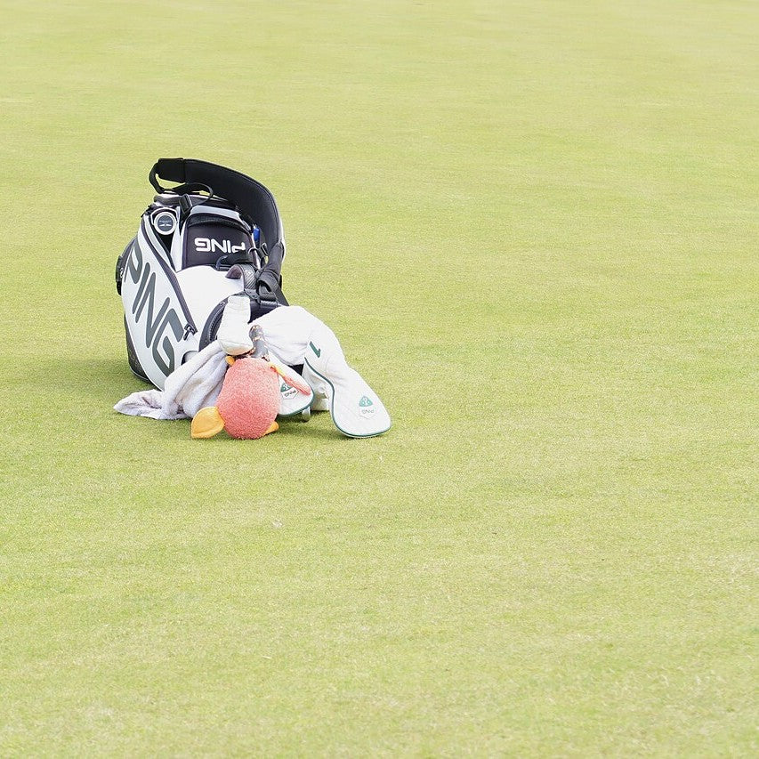 A golf bag on the fairway