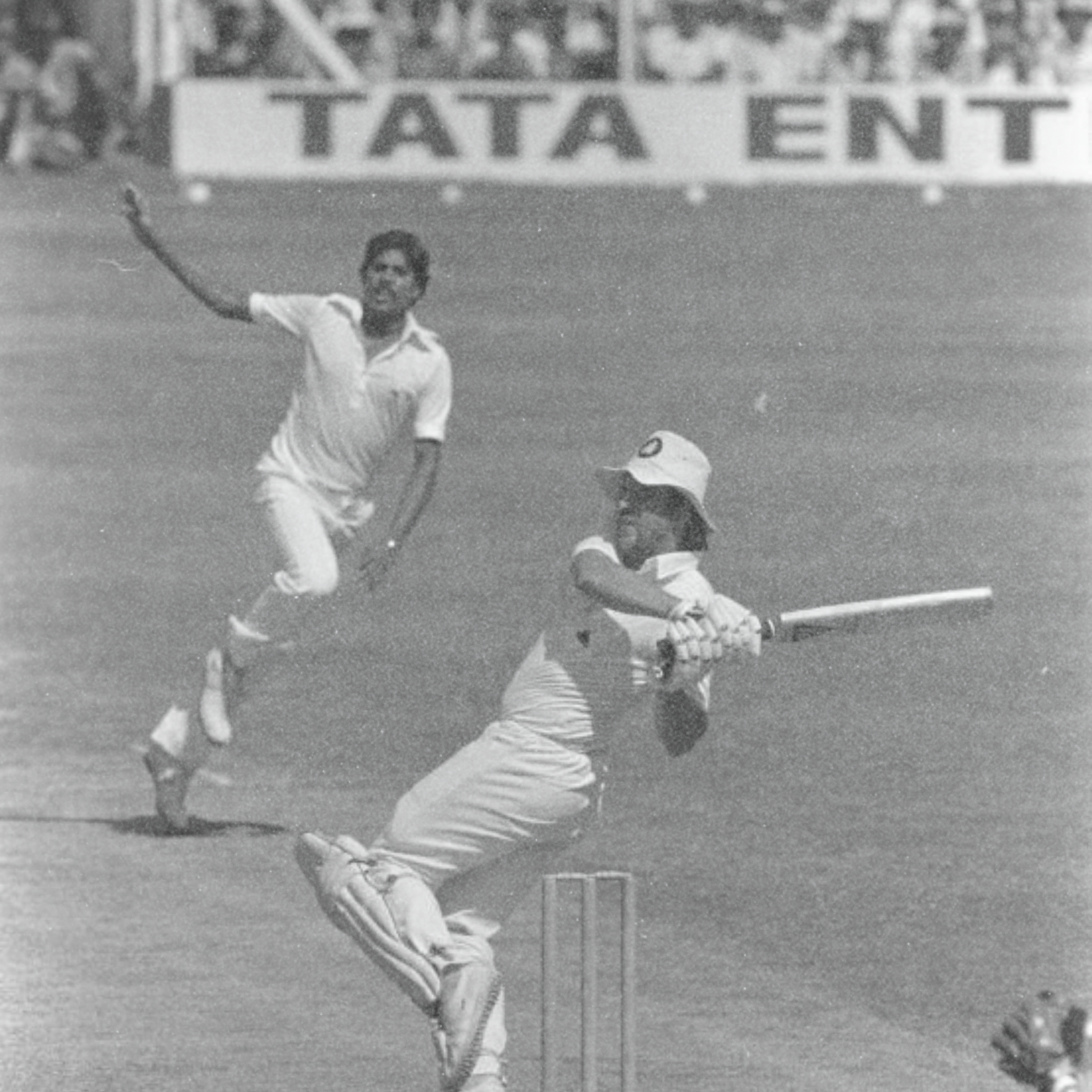 Cricket