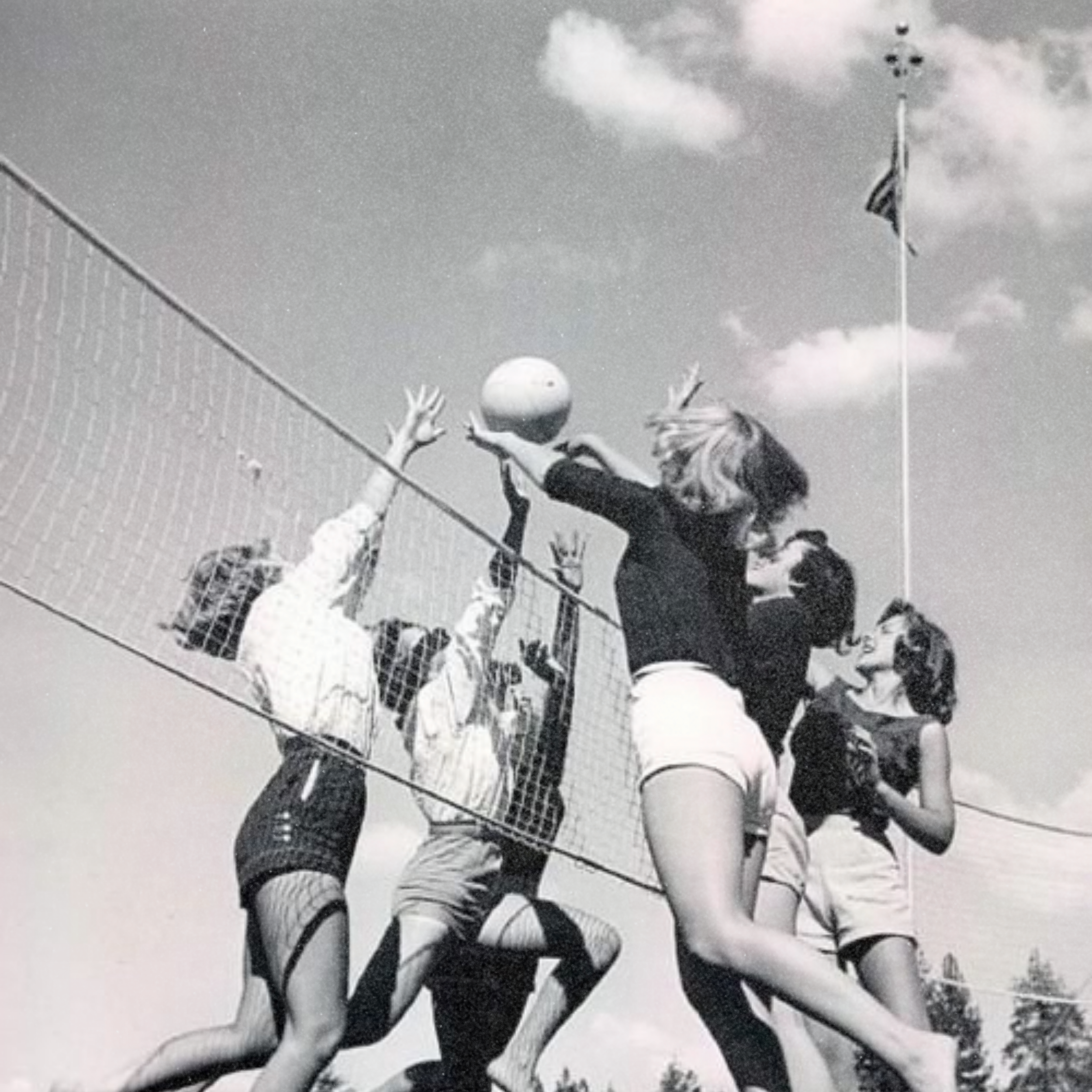Volleyball