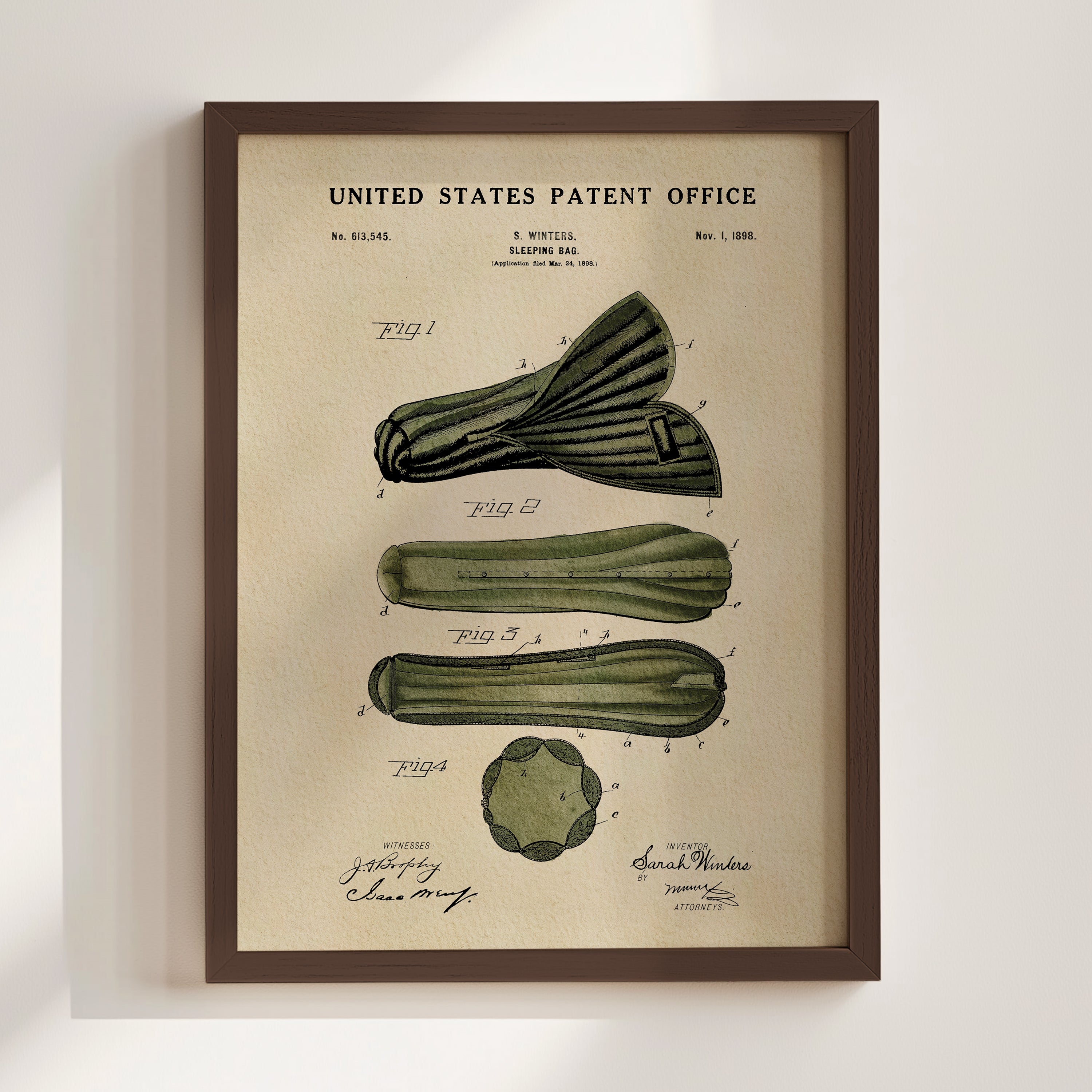 The image is a framed vintage patent drawing of a cucumber, depicting the design and structure of the vegetable.