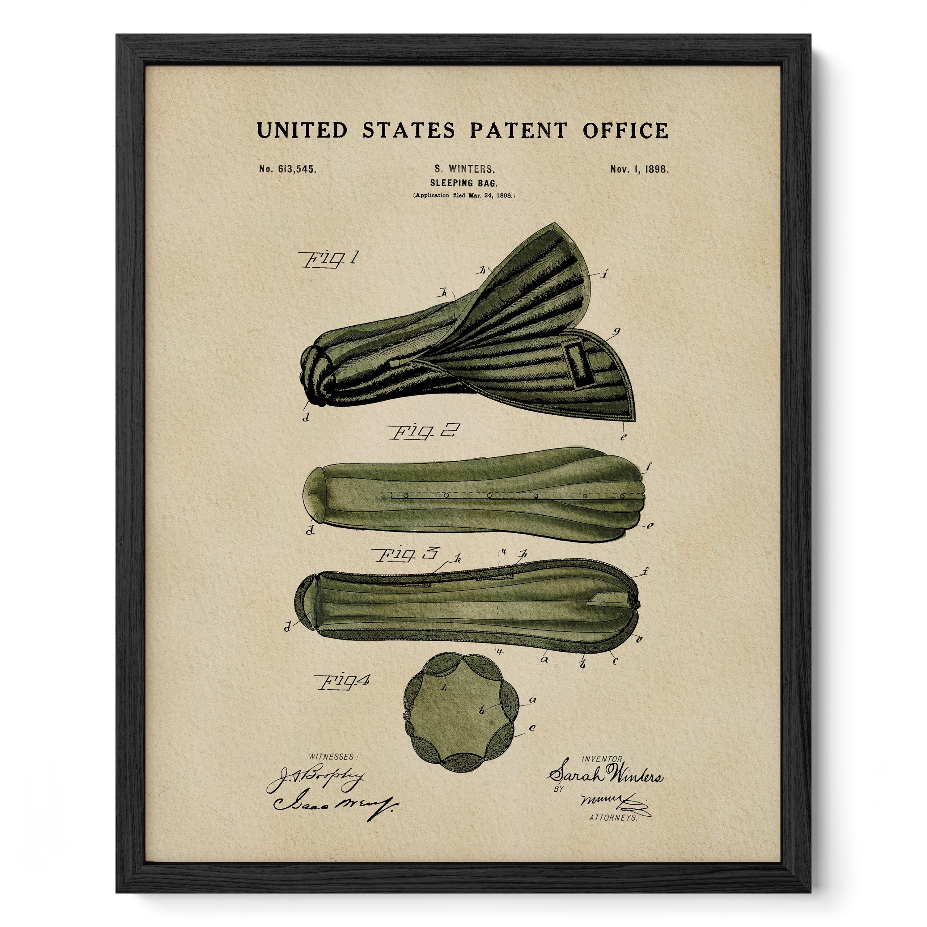 The image is a framed vintage patent drawing depicting a celery stalk with various technical drawings and annotations.