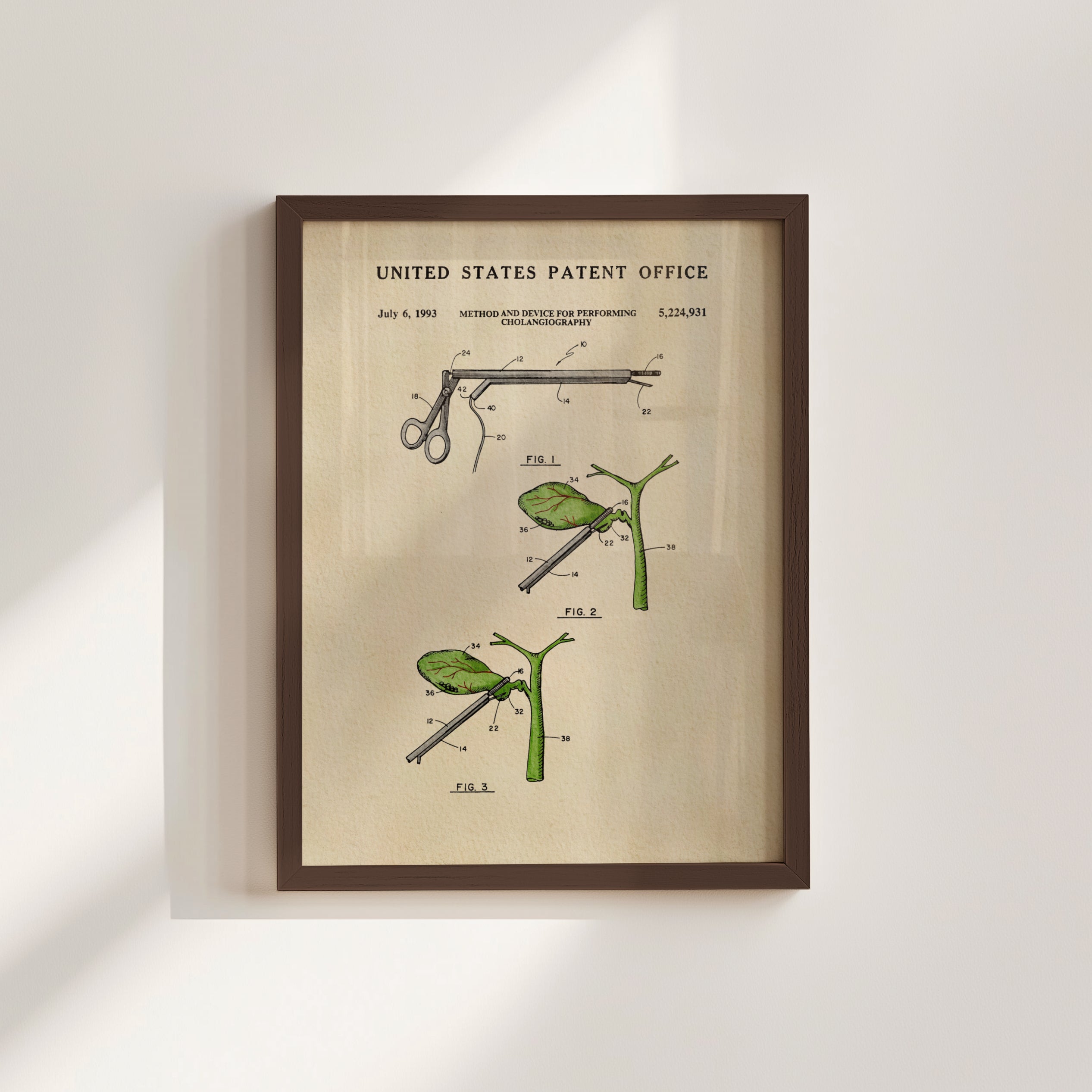 The image is a framed patent drawing depicting a medical device with illustrations of a stethoscope, a pair of scissors, and a plant.
