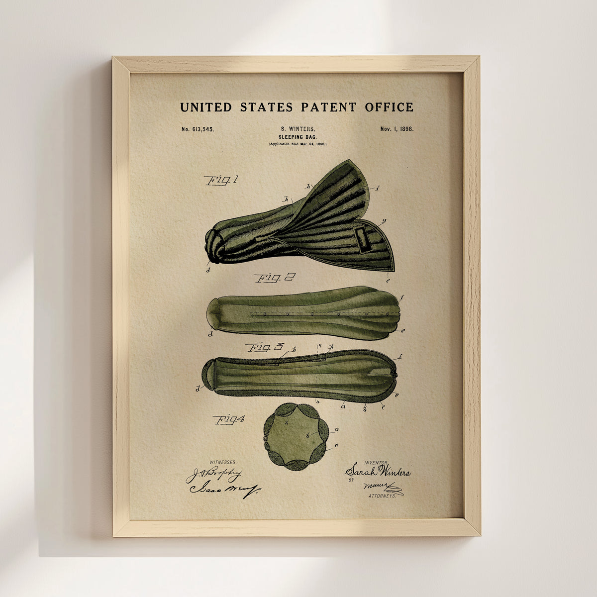 The image is a framed vintage patent drawing depicting a cucumber with accompanying drawings and text.