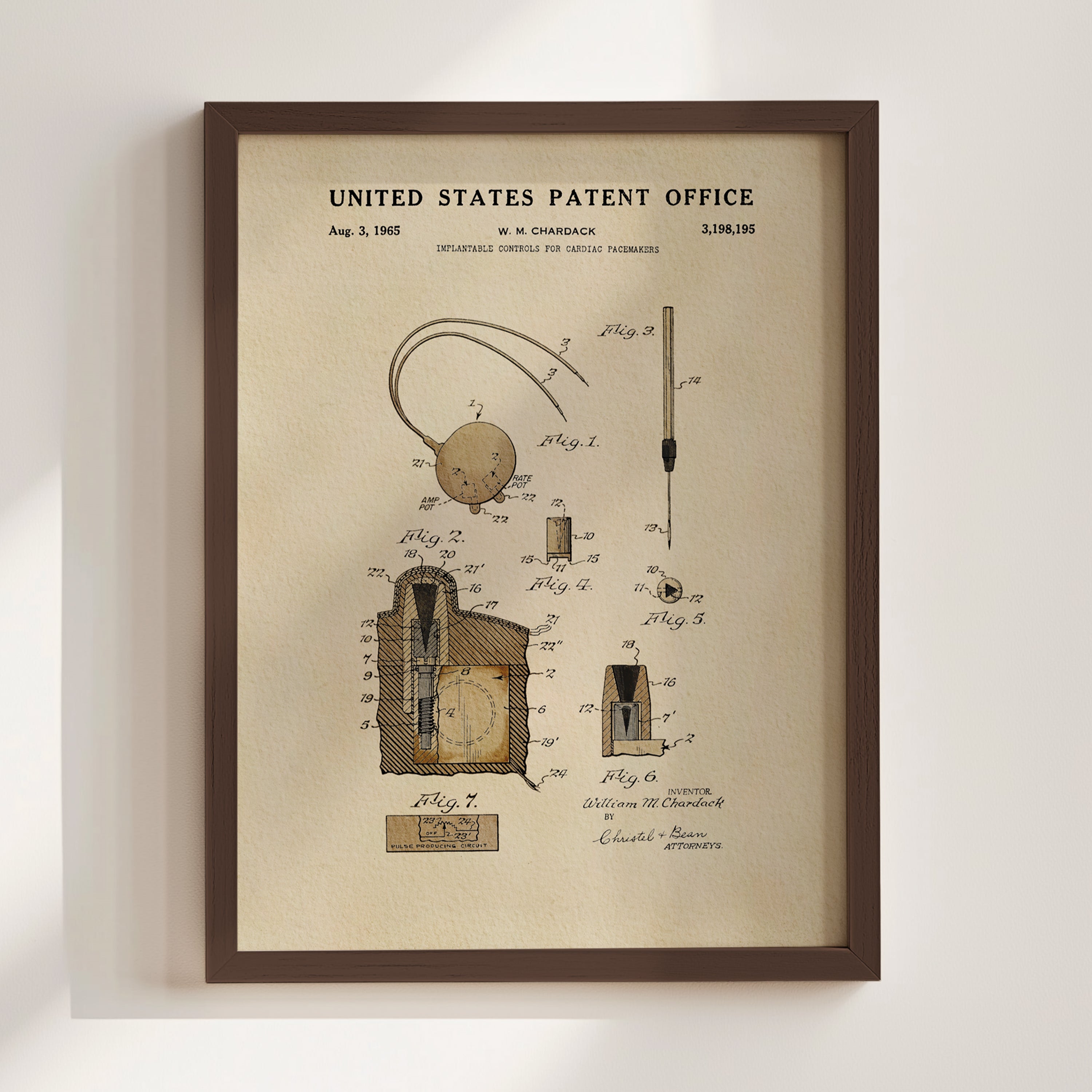 Cardiac Pacemaker Controls (1965)