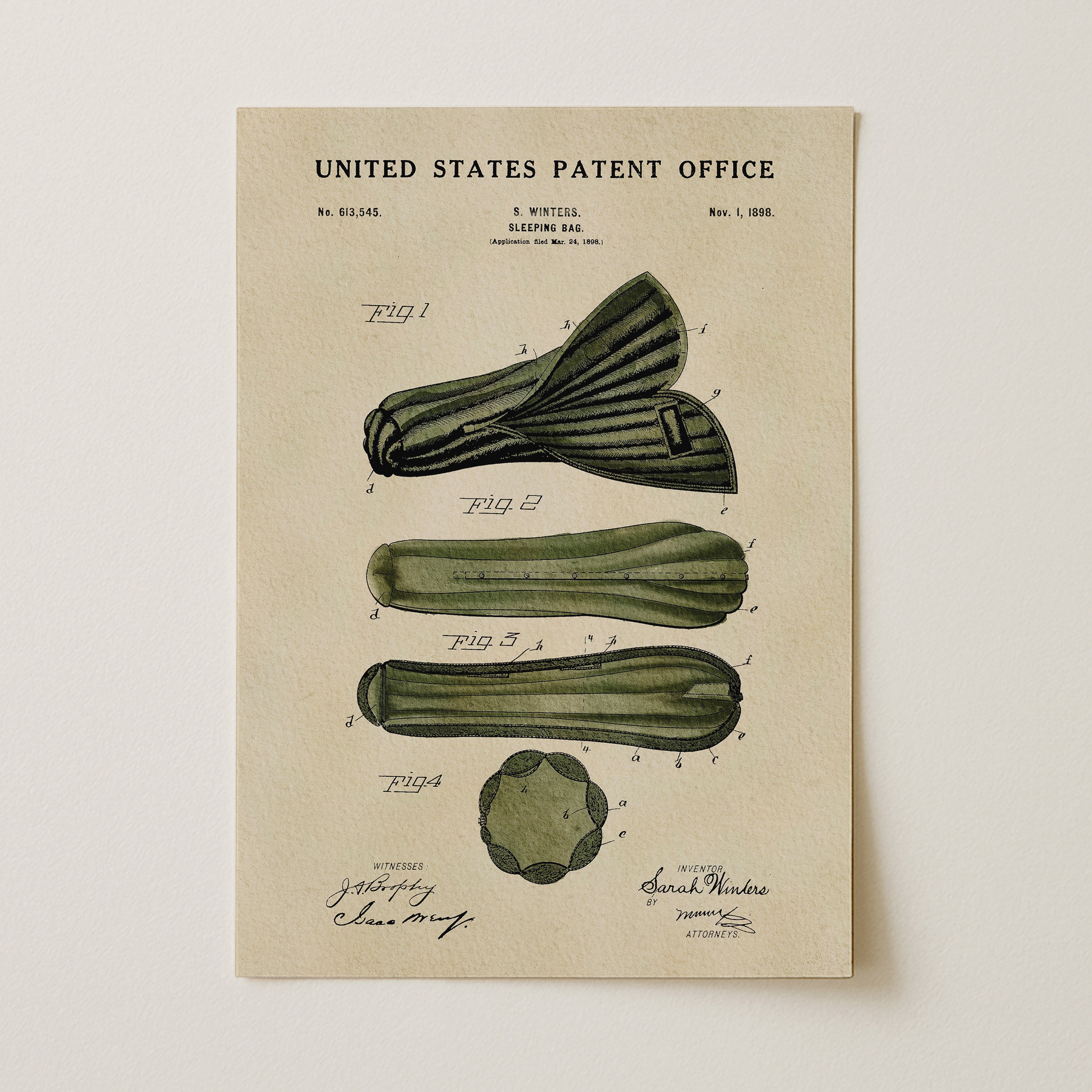 The image is a vintage United States patent office patent drawing depicting a cucumber with detailed illustrations and annotations.