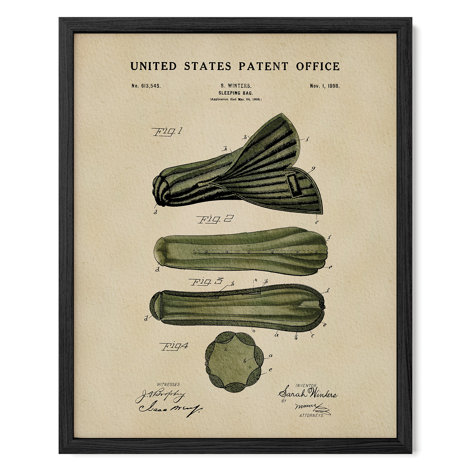 The image is a framed patent drawing depicting a cucumber with various technical drawings and annotations.