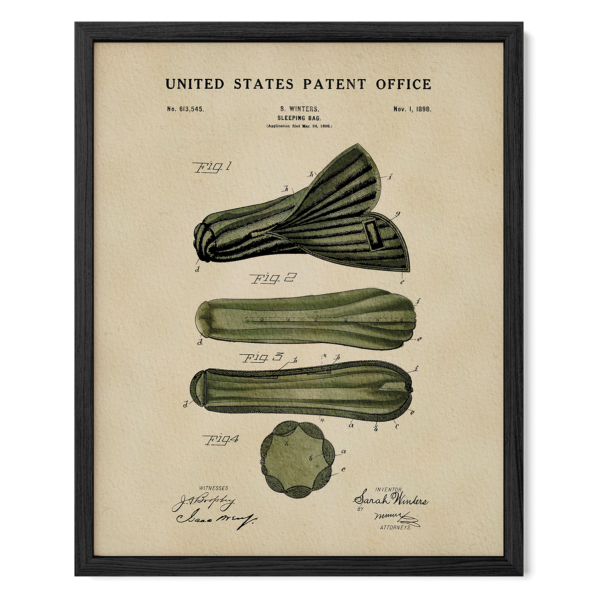 The image is a framed patent drawing depicting a cucumber with various technical drawings and annotations.